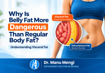 Illustration comparing visceral fat around abdominal organs with subcutaneous fat beneath the skin