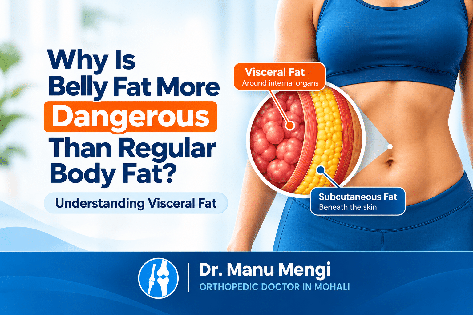 Illustration comparing visceral fat around abdominal organs with subcutaneous fat beneath the skin